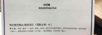 小钉锤商标，41类，教育教学培训注册成功
